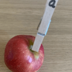 peg 4